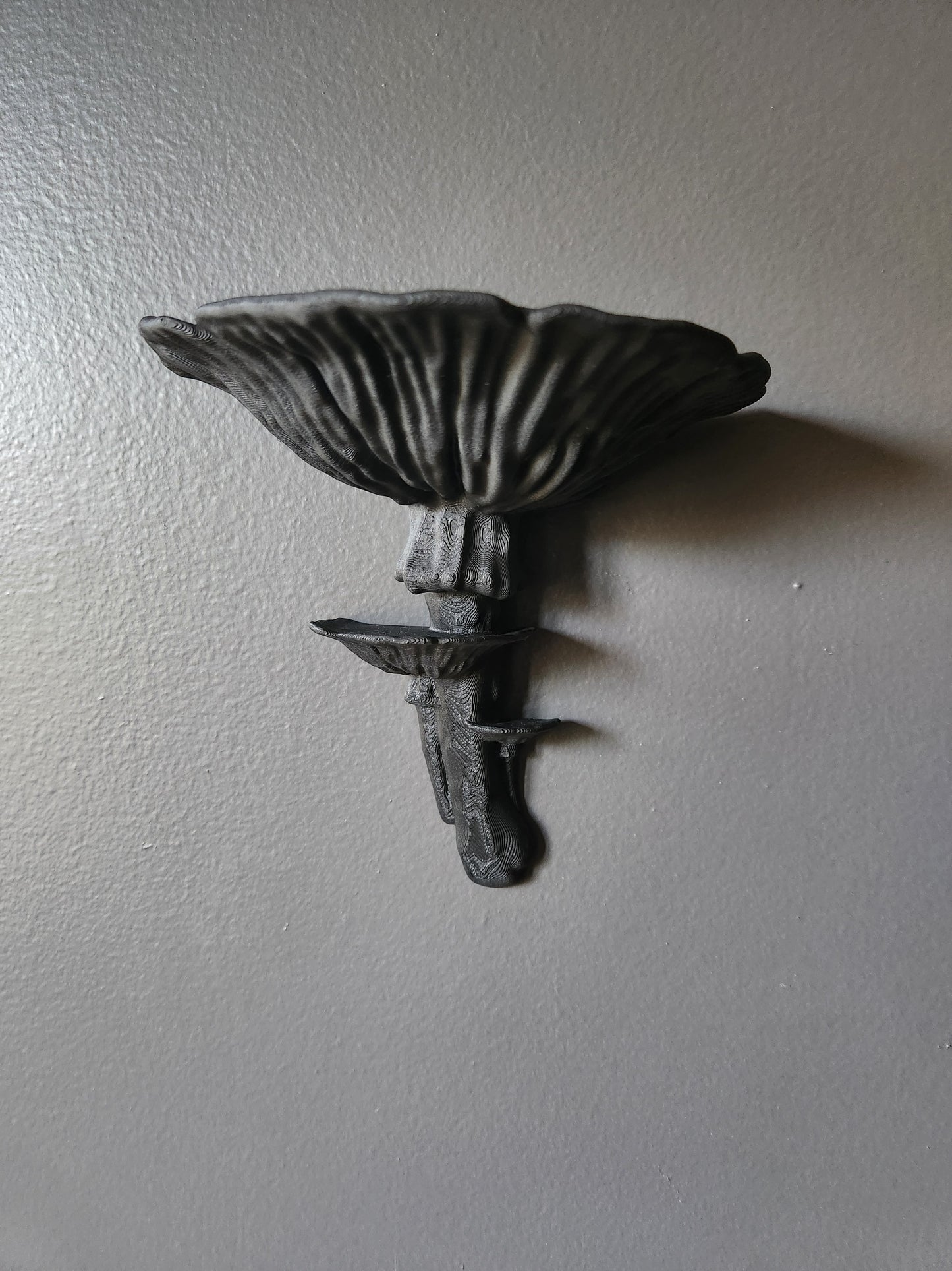 Mushroom Floating Shelf (Black)