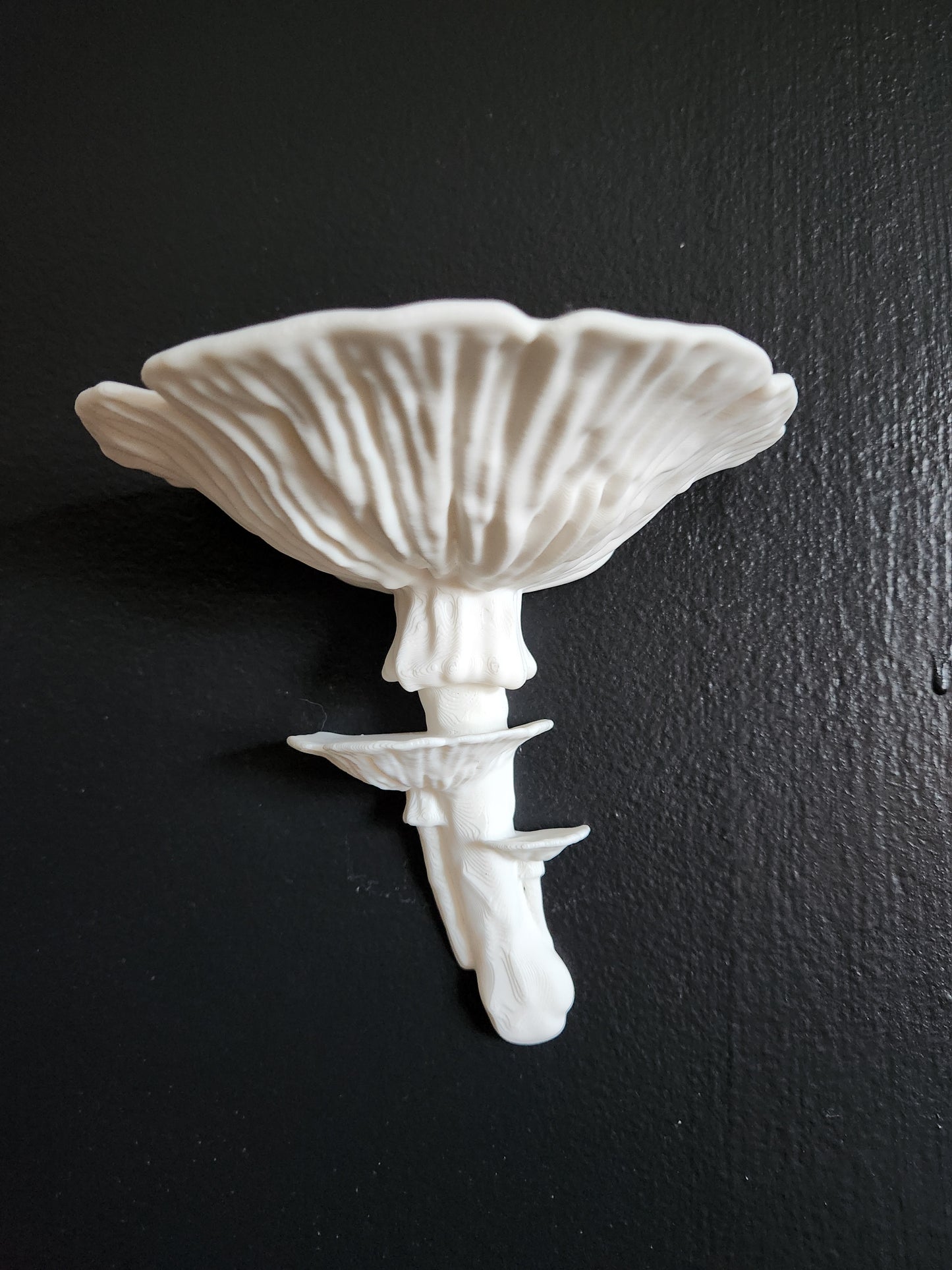 Mushroom Floating Shelf (White)
