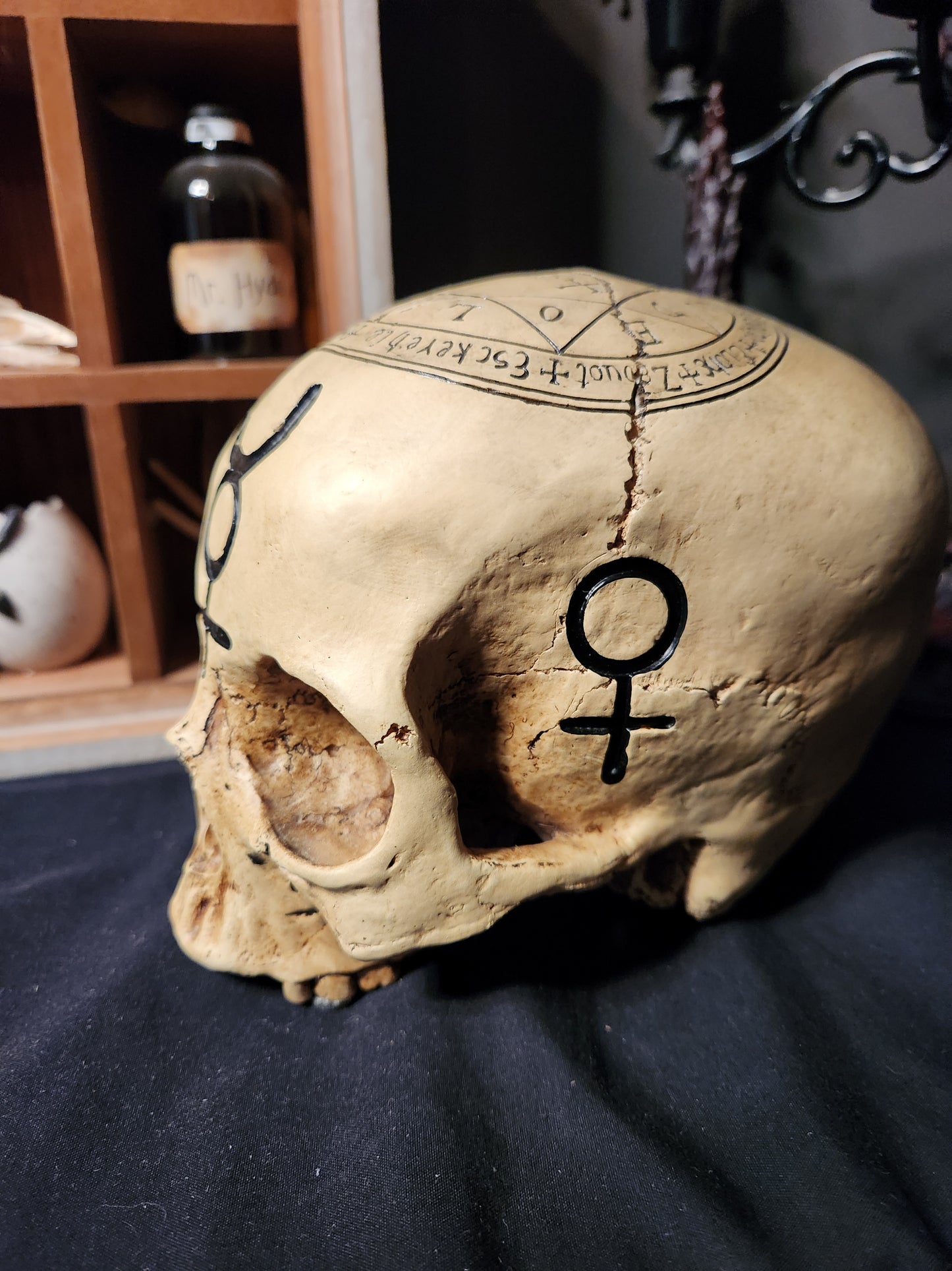 Occult Skull