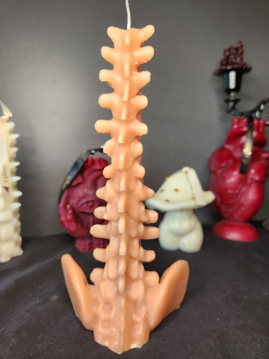 Lower Spine Candle