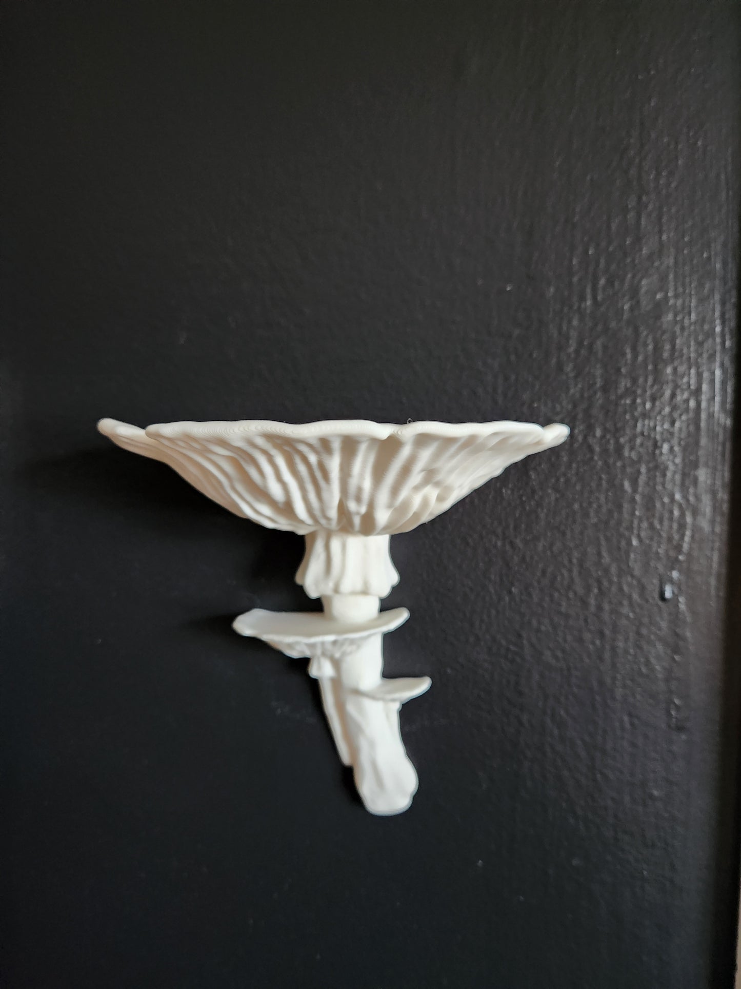 Mushroom Floating Shelf (White)