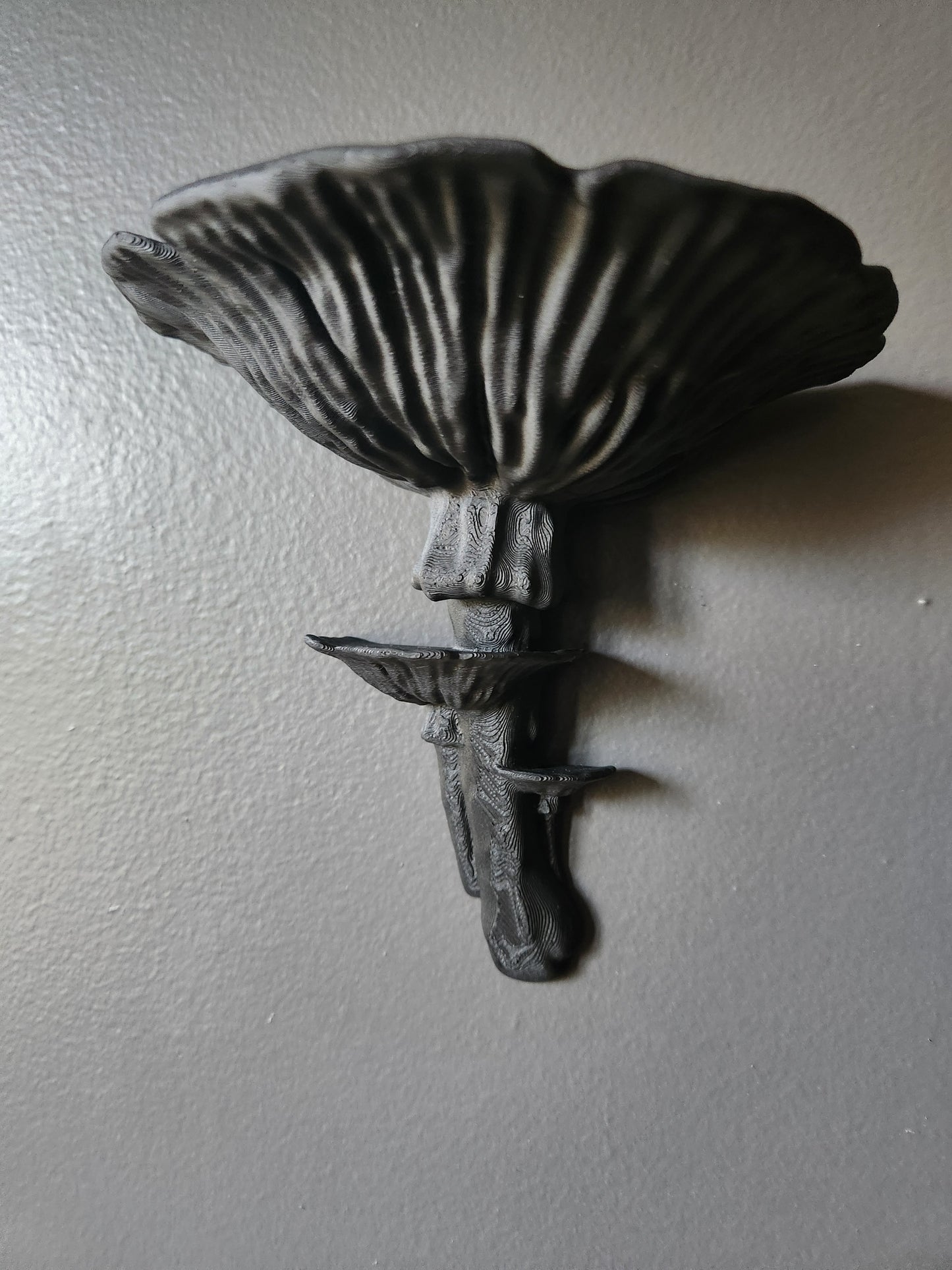 Mushroom Floating Shelf (Black)