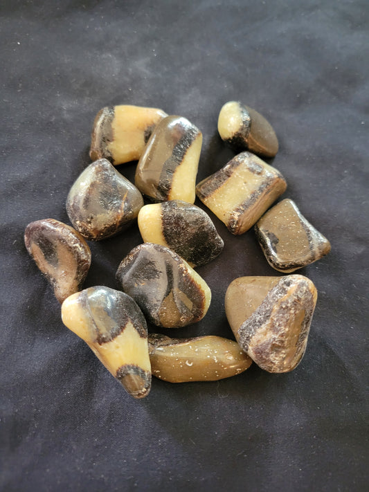 Septarian (Tumbled Stones - Large)