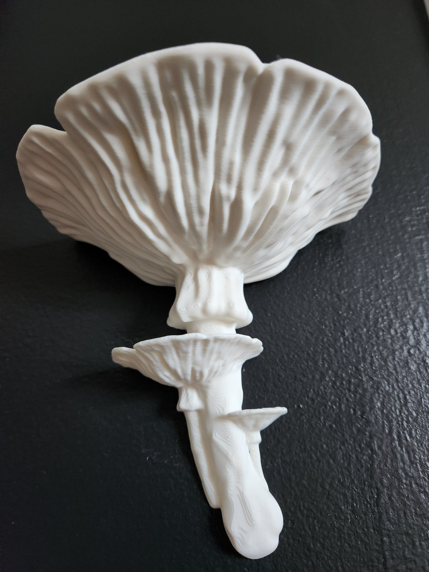 Mushroom Floating Shelf (White)