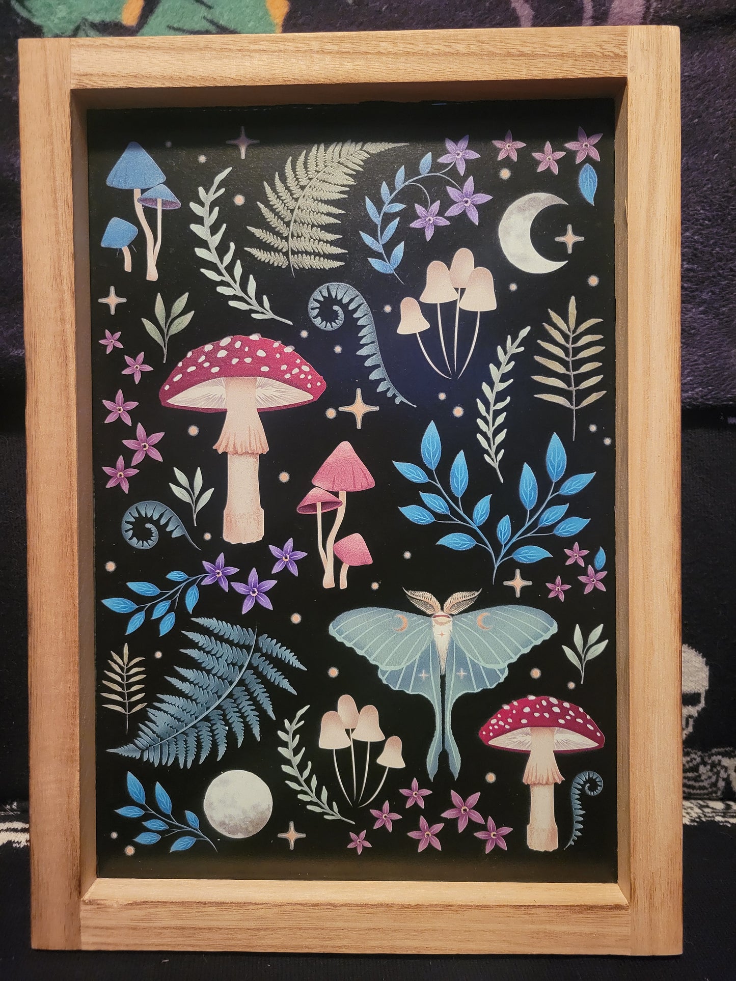 Dark Forest Framed Print