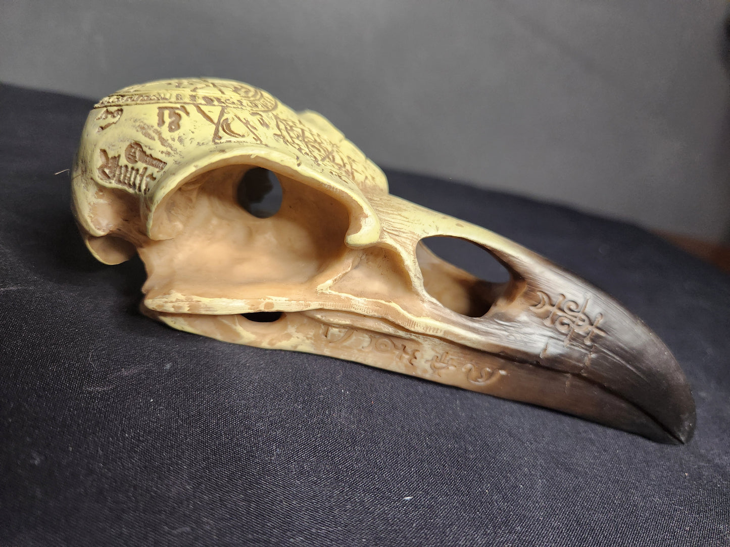 Occult Raven Skull