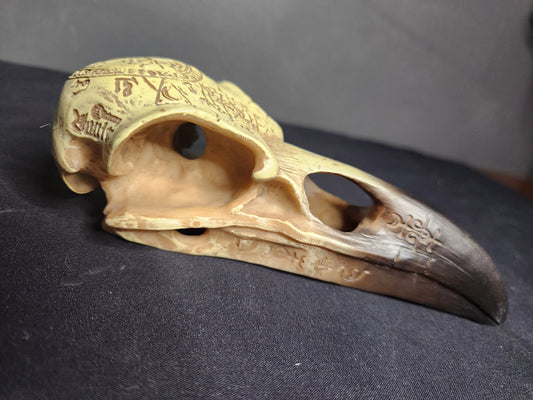 Occult Raven Skull