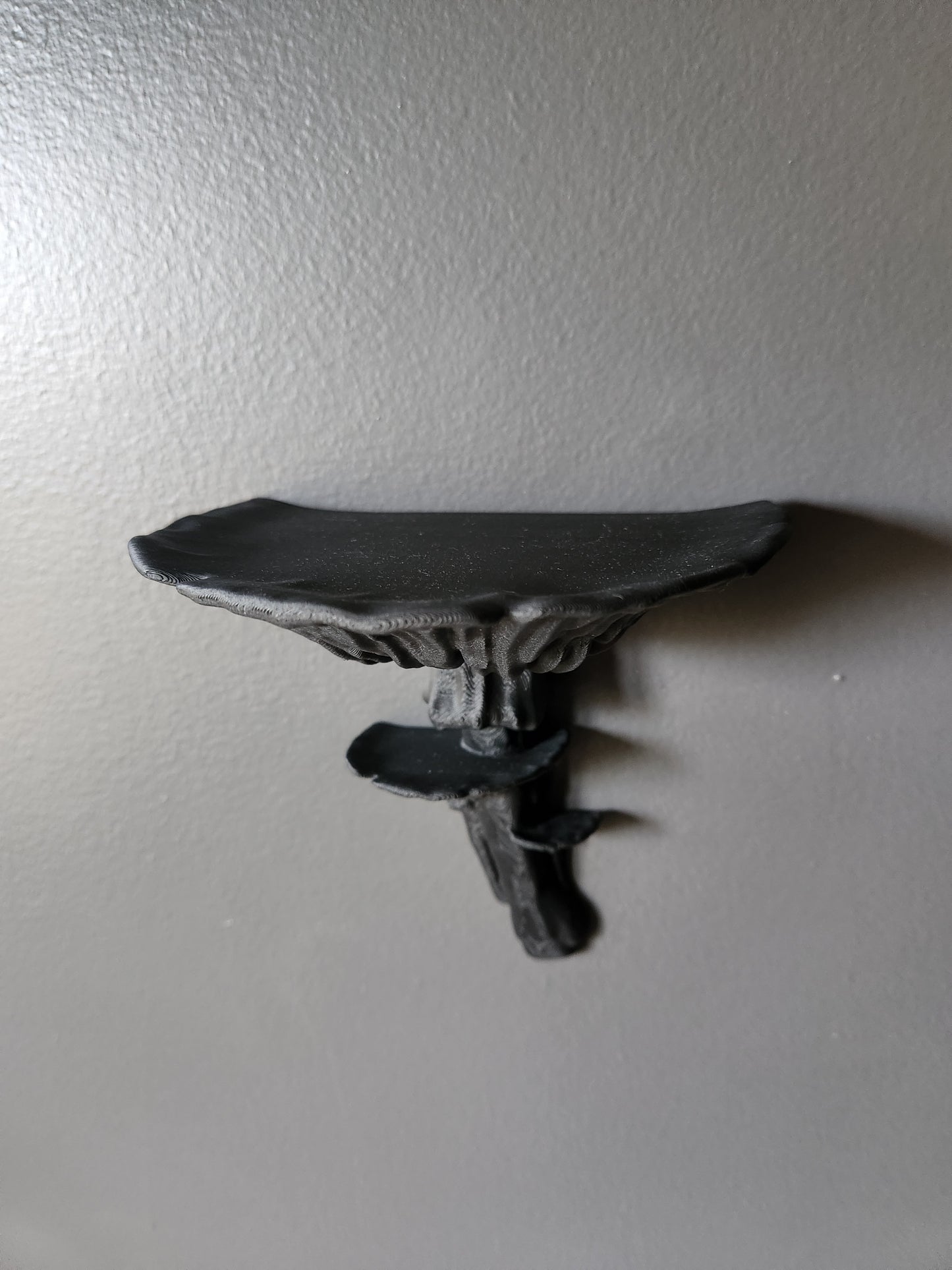 Mushroom Floating Shelf (Black)