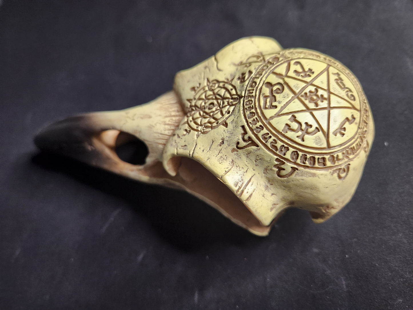 Occult Raven Skull