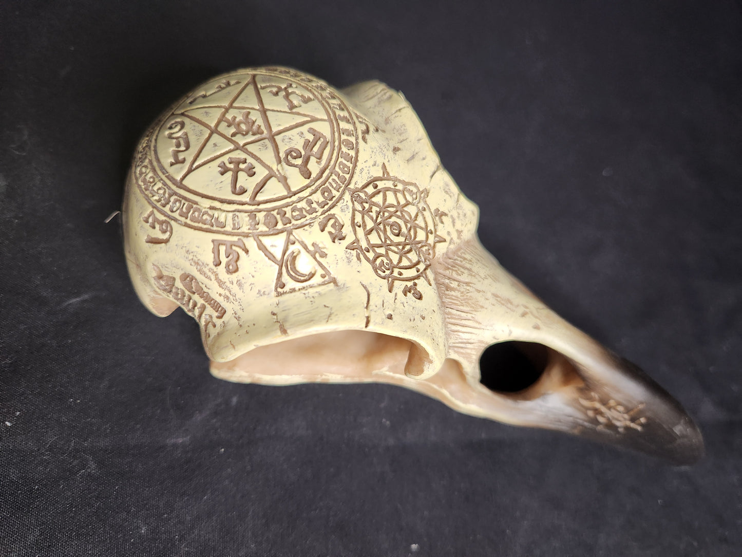 Occult Raven Skull